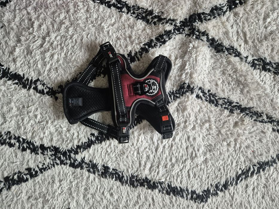 Kurtka dla psa  Lovpet