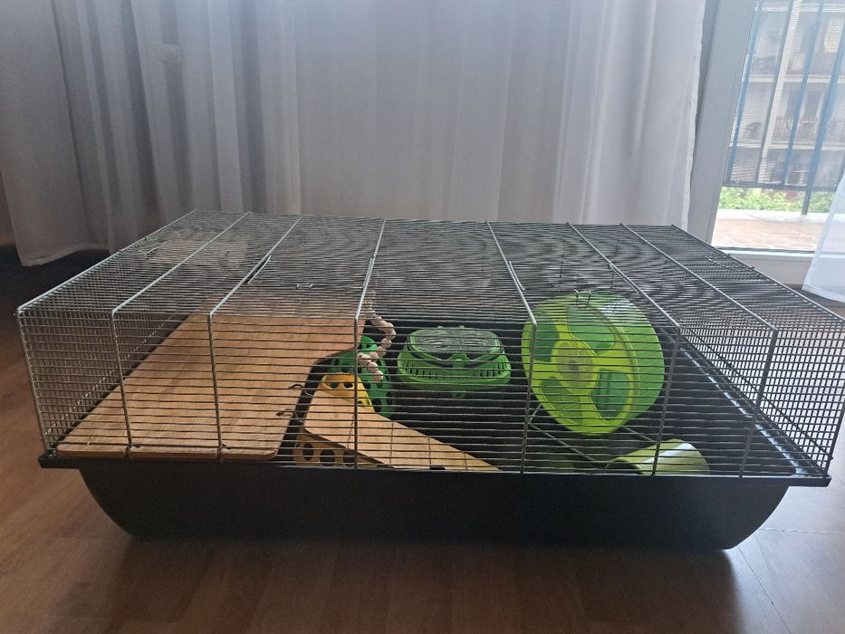 Klatka z akcesoriami