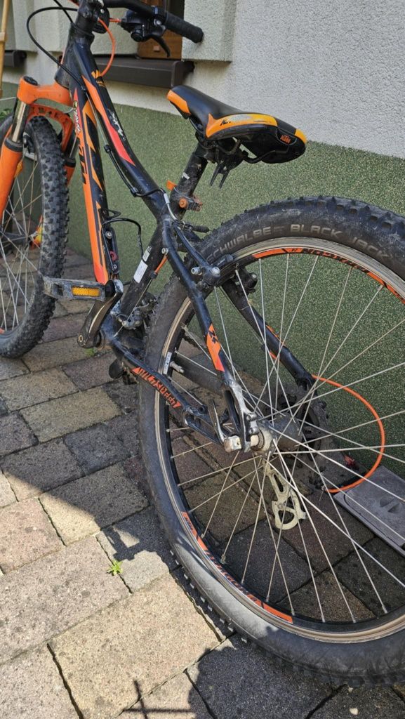Rower KTM Wilde Speed