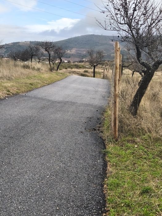 Terreno rústico em sequeiros