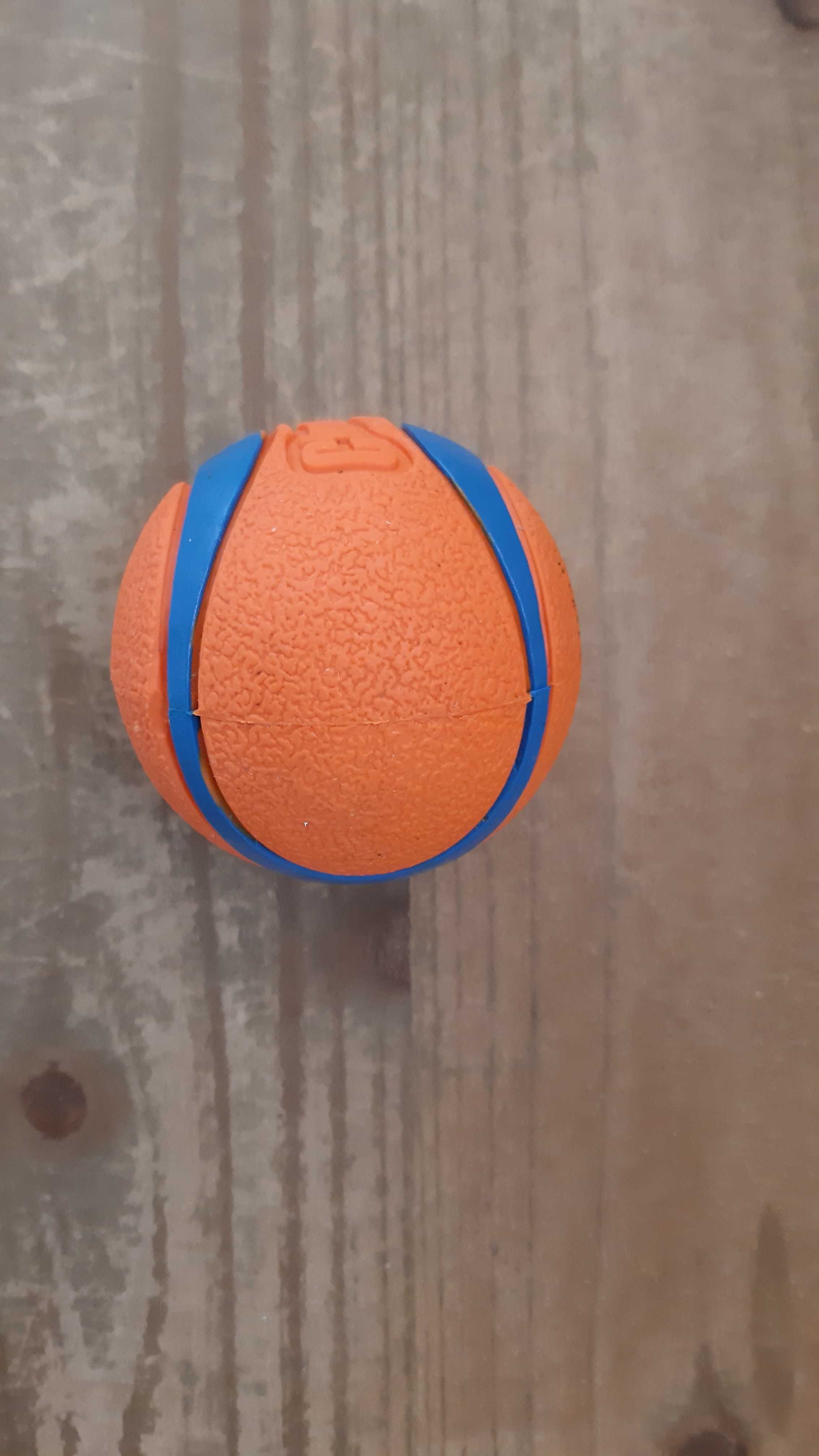 Piłka dla psa Chuckit, Ultra Ball rozmiar M
