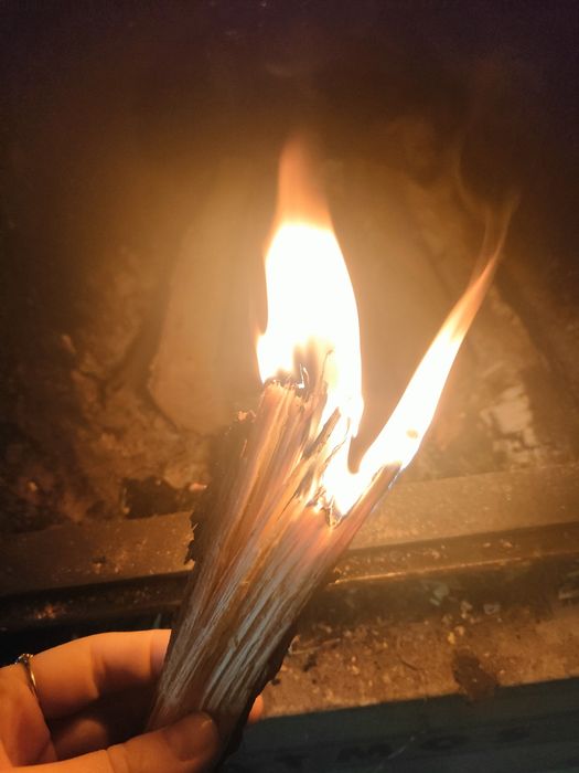 Szczypa sosnowa, naturalna rozpałka do kominka, pieca, ogniska