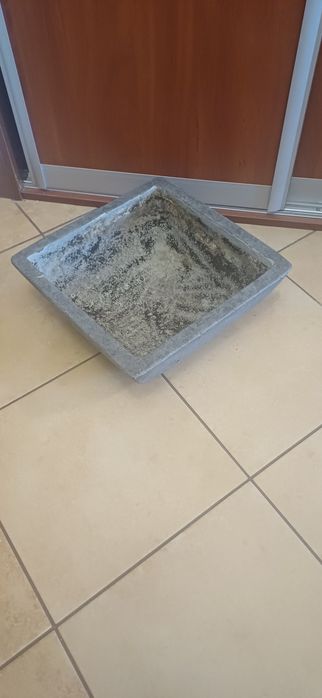 Donica szara duża