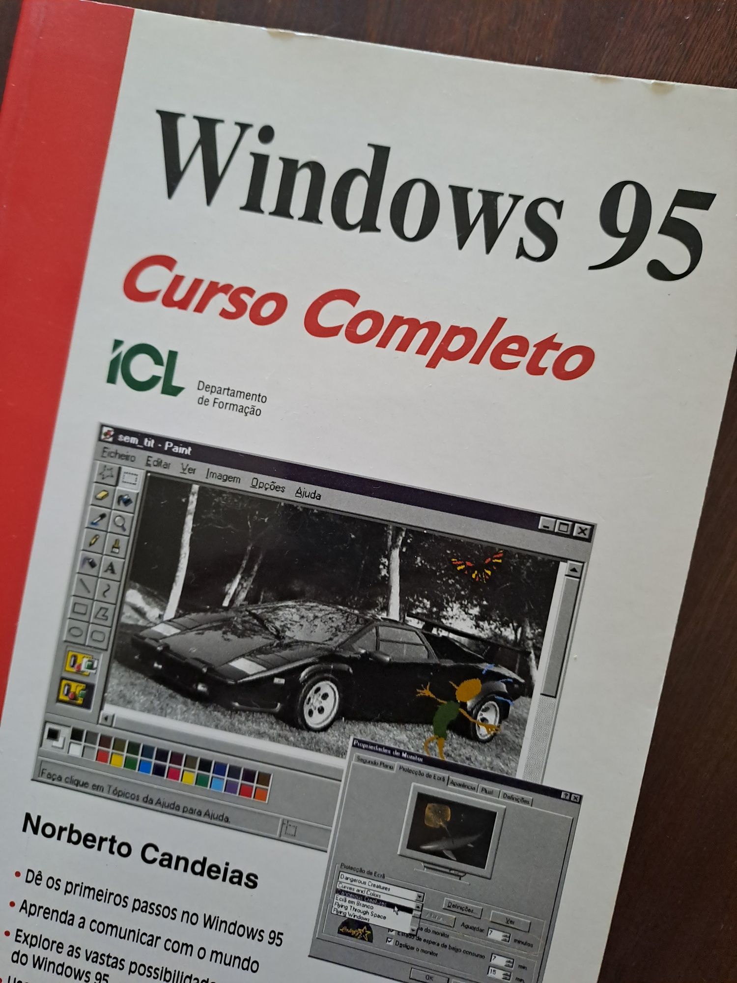 Livro curso Windows 95