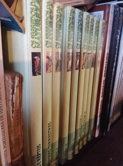 Vários livros de coleção