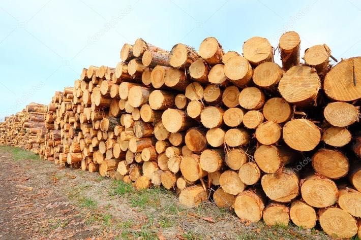 Drewno opałowe sosna walki 140zl