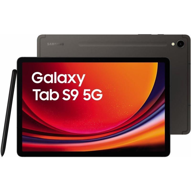 Samsung Galaxy Tab S9 Wi-Fi +5G 8Gb/128 Gb