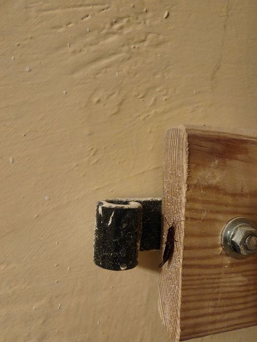 Drzwi sztachetowe drewniane - piwnica 200x80