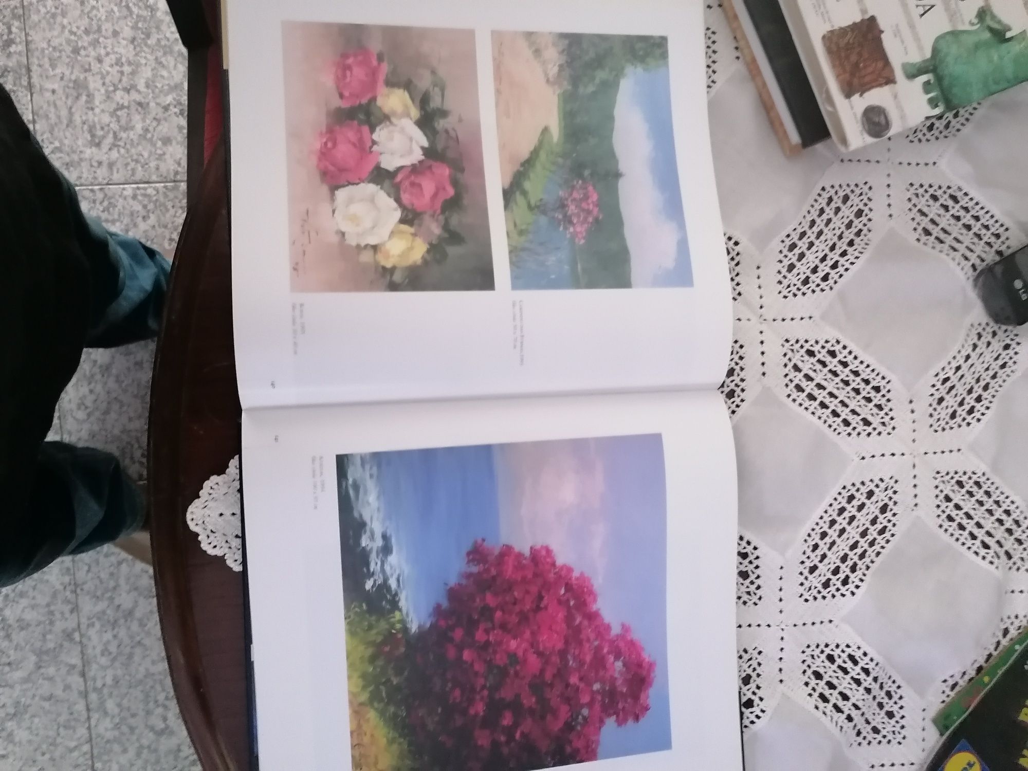 Livro do pintor e lindas gravuras