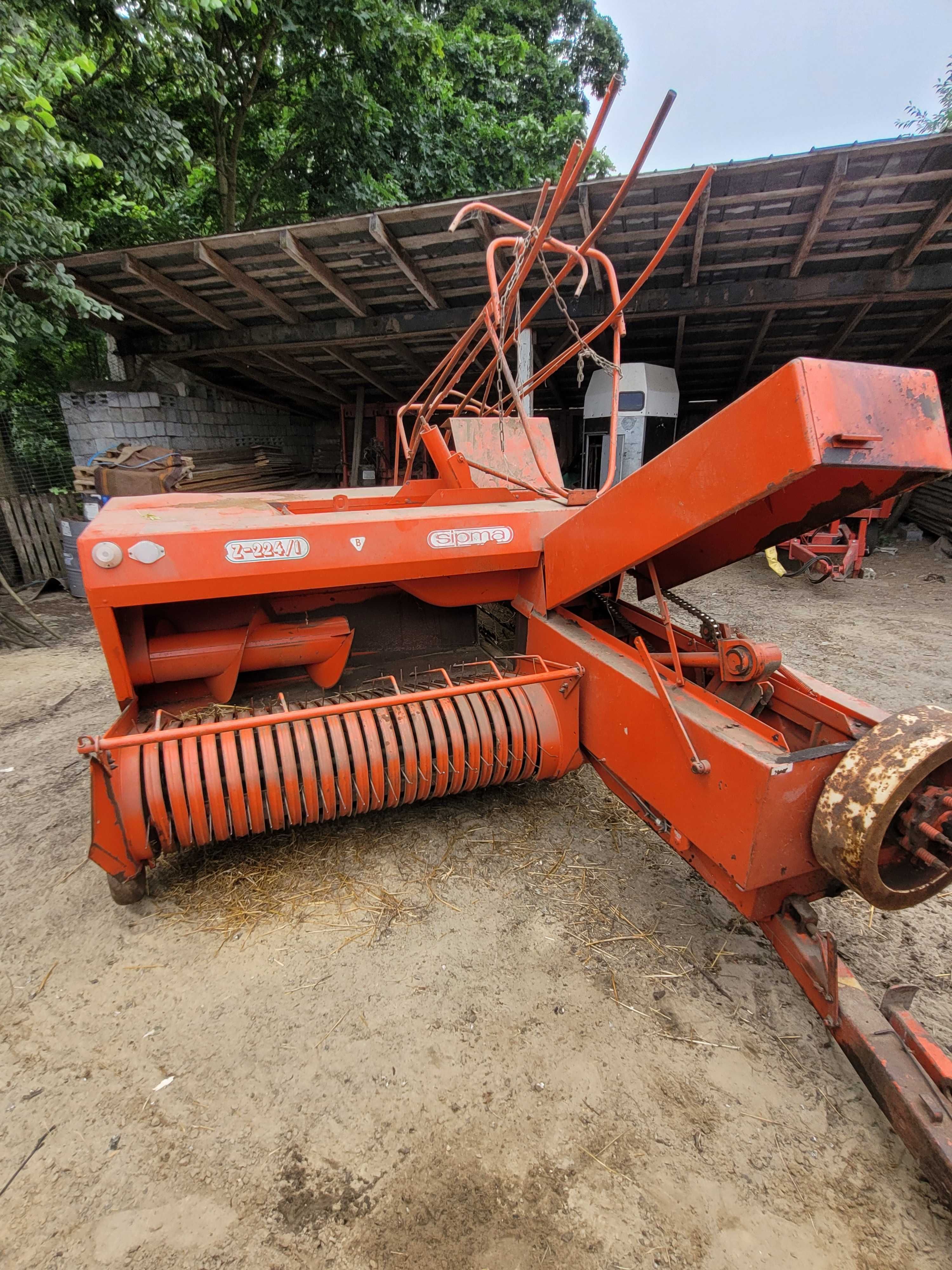 Sprzedam prase Sipma Z-224/1