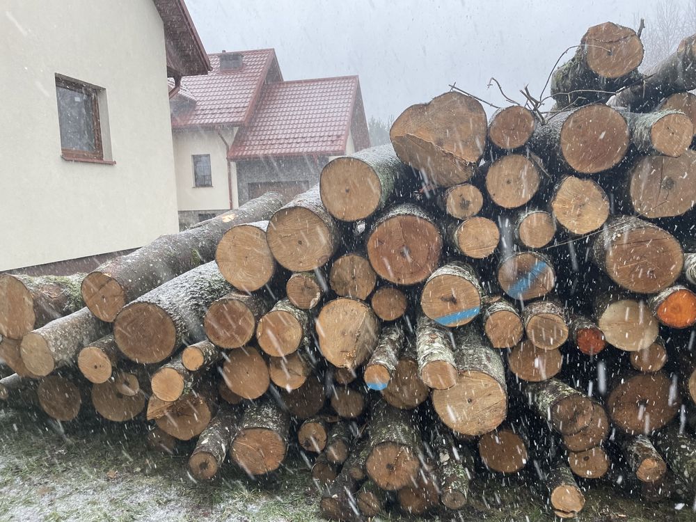 Drewno opałowe DĄB/BRZOZA/SOSNA/OLCHA/KLON transport