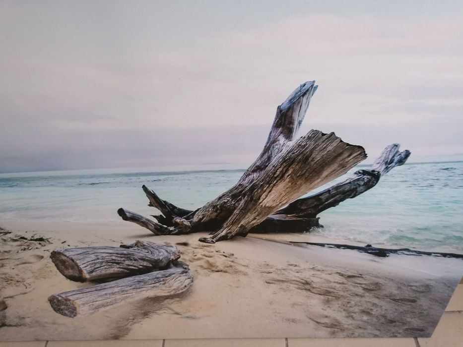 Piękny duży obraz morze 85*113