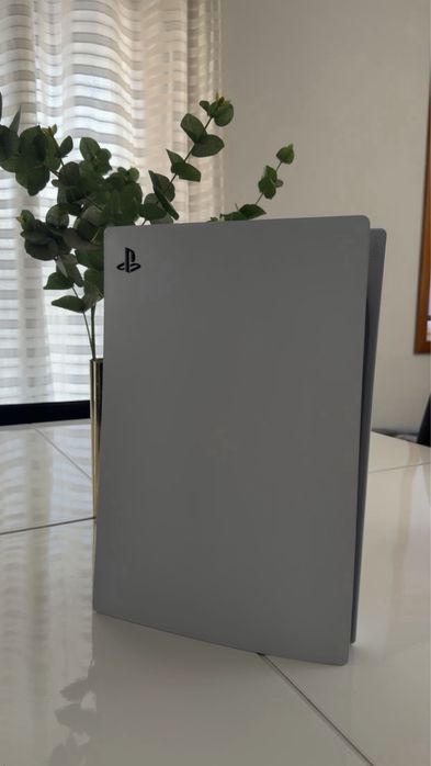 Playstation 5 fisica