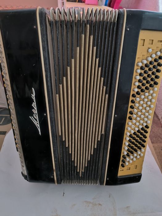 Электробаян Мечта