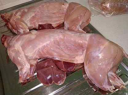 Кролики каліфорнійці, панон, шиншила