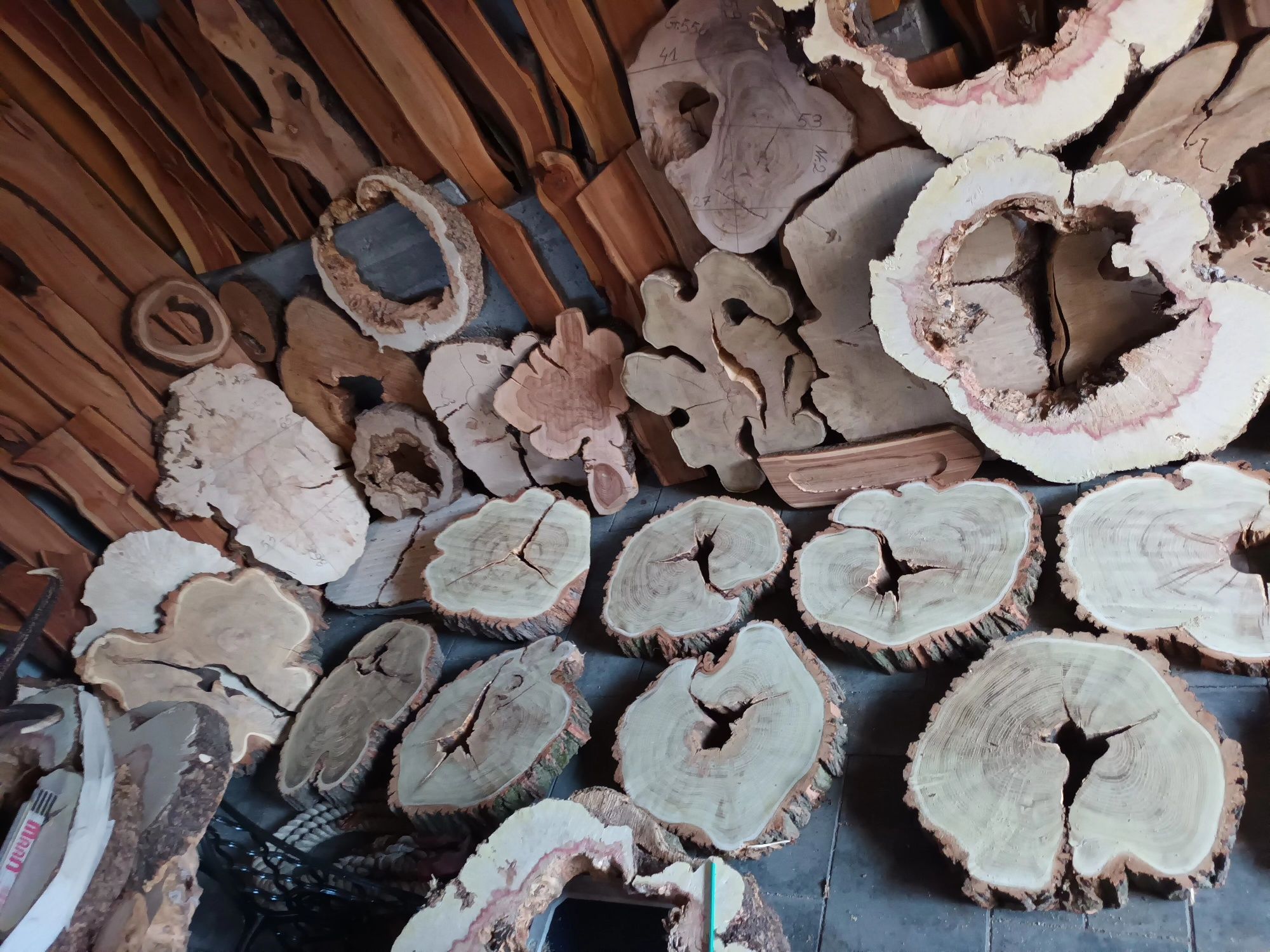 Plaster drewna akacja drzewo plastry żywica klon orzech grusza jawor