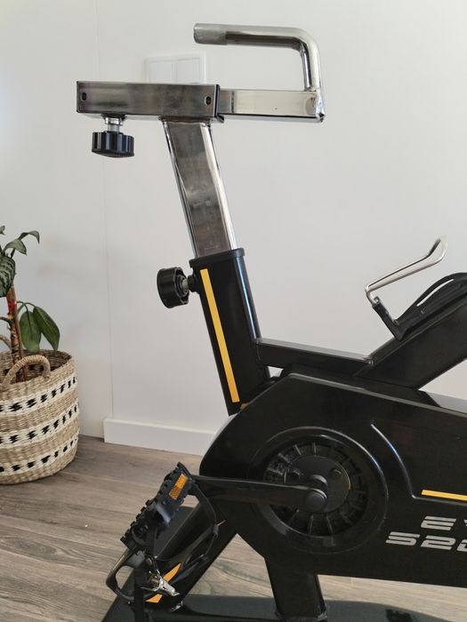 Bicicleta estática BH Evo S2000