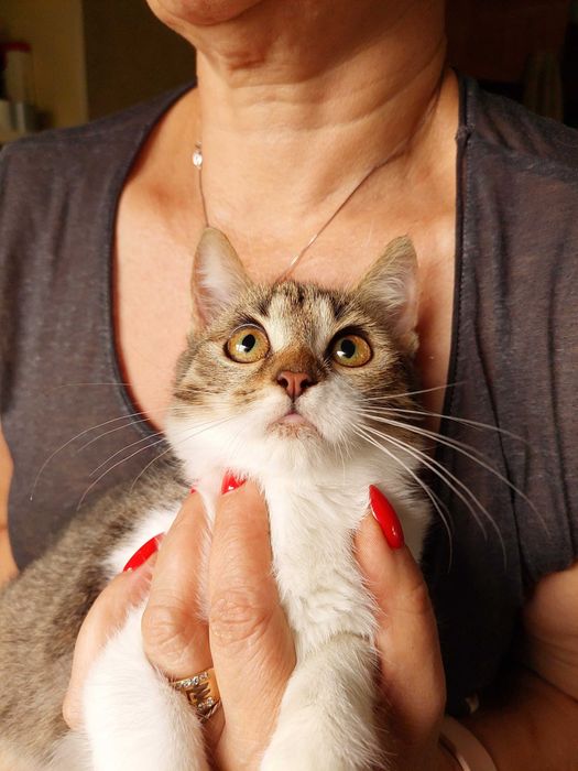 KLUSKA pragnie mieć dom!