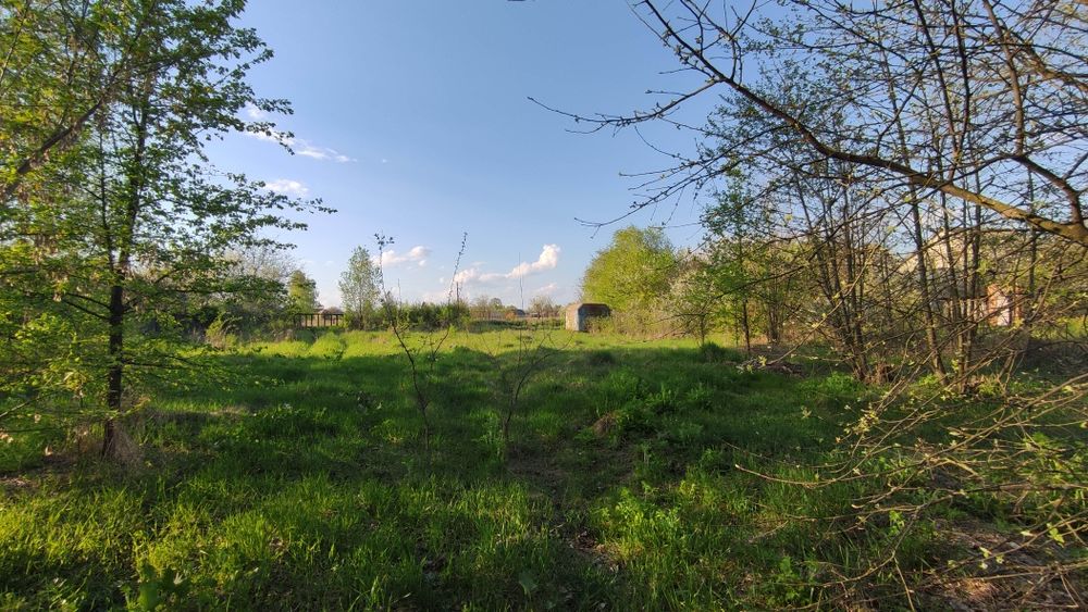 Земельна ділянка с. Гориця v.Gorica Chernihiv district