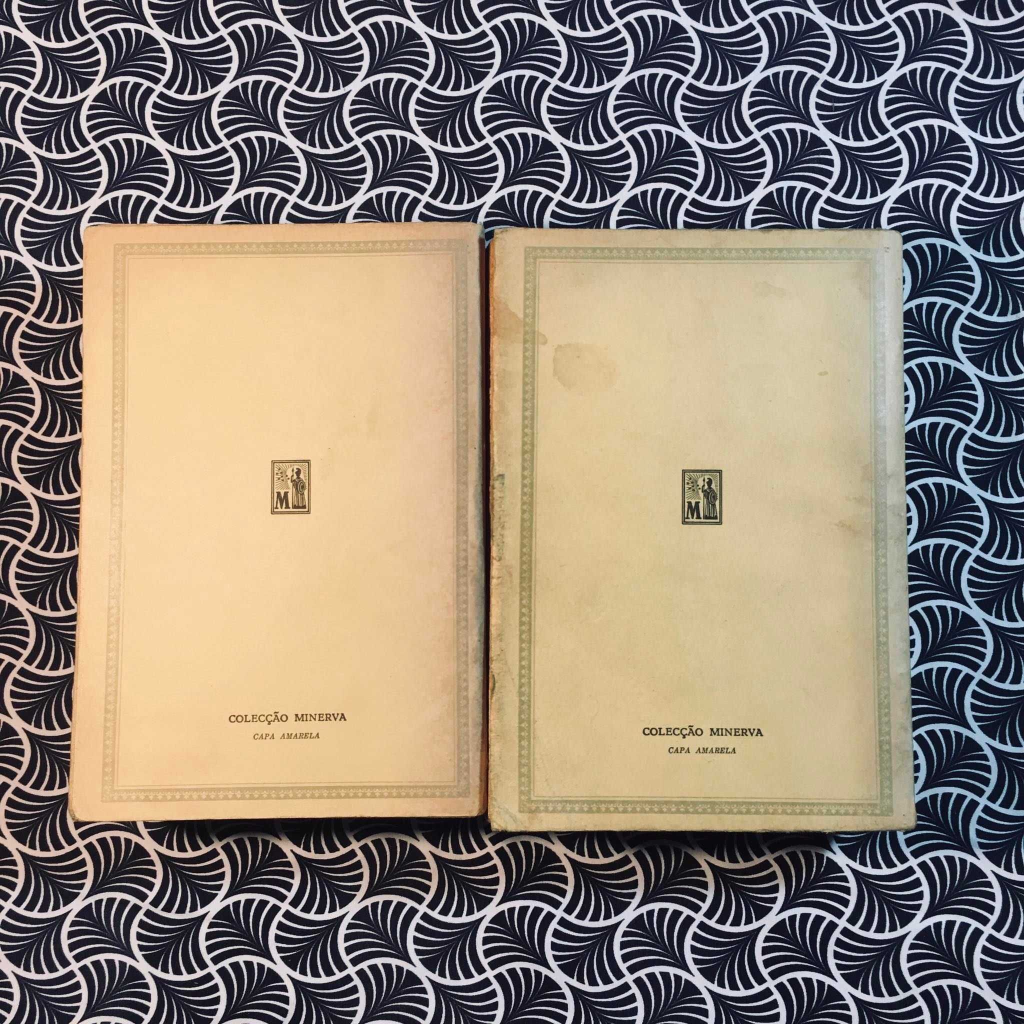 E Tudo o Vento Levou (2 volumes) - Margaret Mitchell