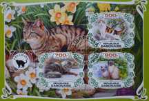 T.0356*A Arkusik Fauna SSAKI KOTY DOMOWE GATUNKI - Filatelistyka