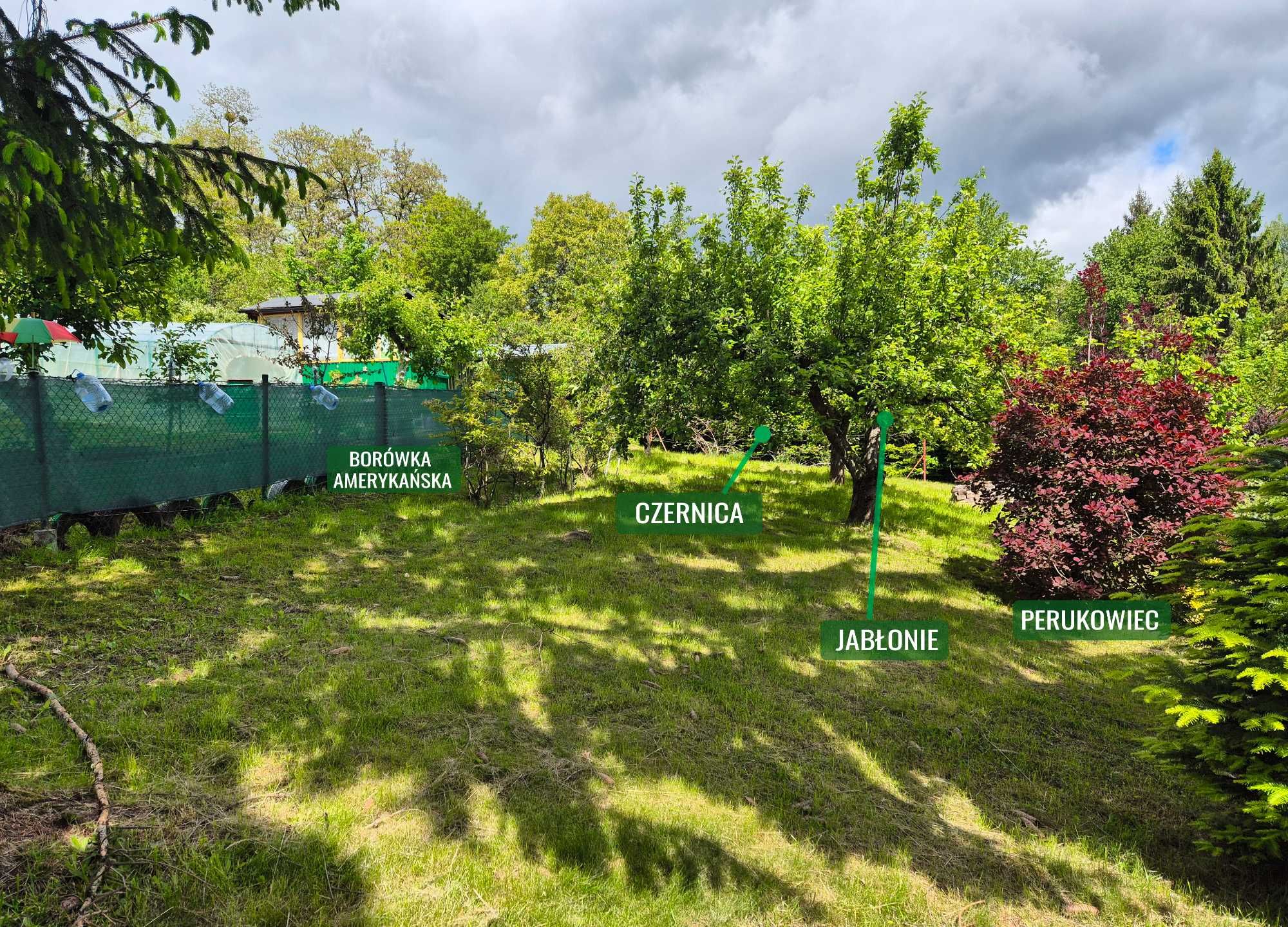 Działka rekrecyjna - 10ar / Przemyśl / "ZIELONKA" / Domek gospodarczy