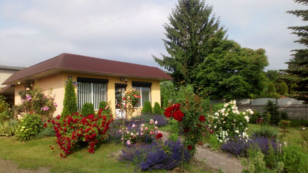 Lokal użytkowy, biurowo usługowy, 38m2  plus parking.