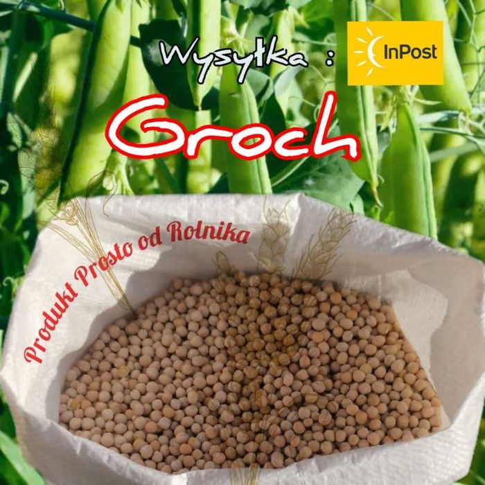 Groch opakowanie 20kg wysyłka natychmiast Inpost Na Pyszną Grochówkę