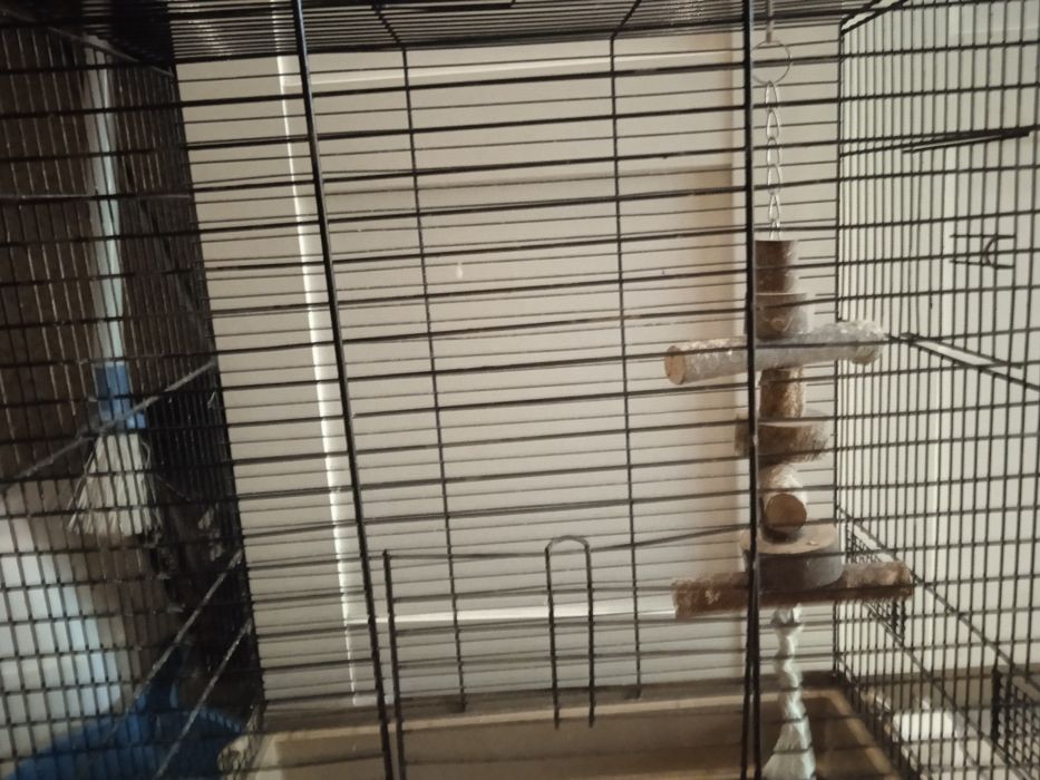 Duża Klatka dla papugi