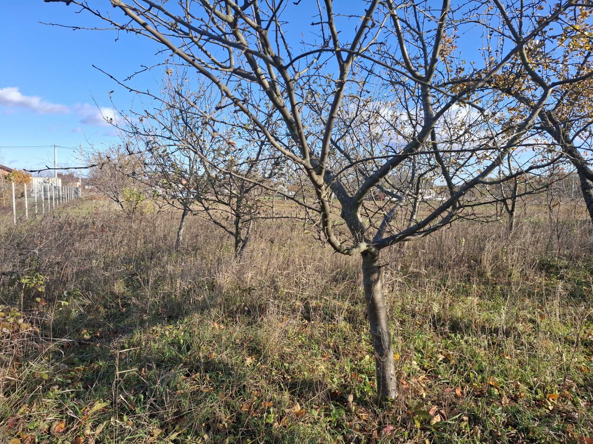 Без комісії продам ділянку у передмісті Вінниці, Зарванці