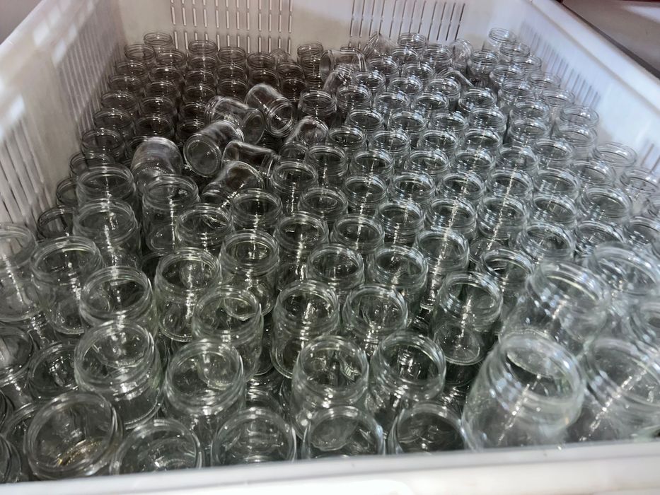 Frascos de vidro 250 ml TO66 B250 usados