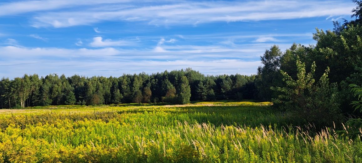 Działka inwestycyjna