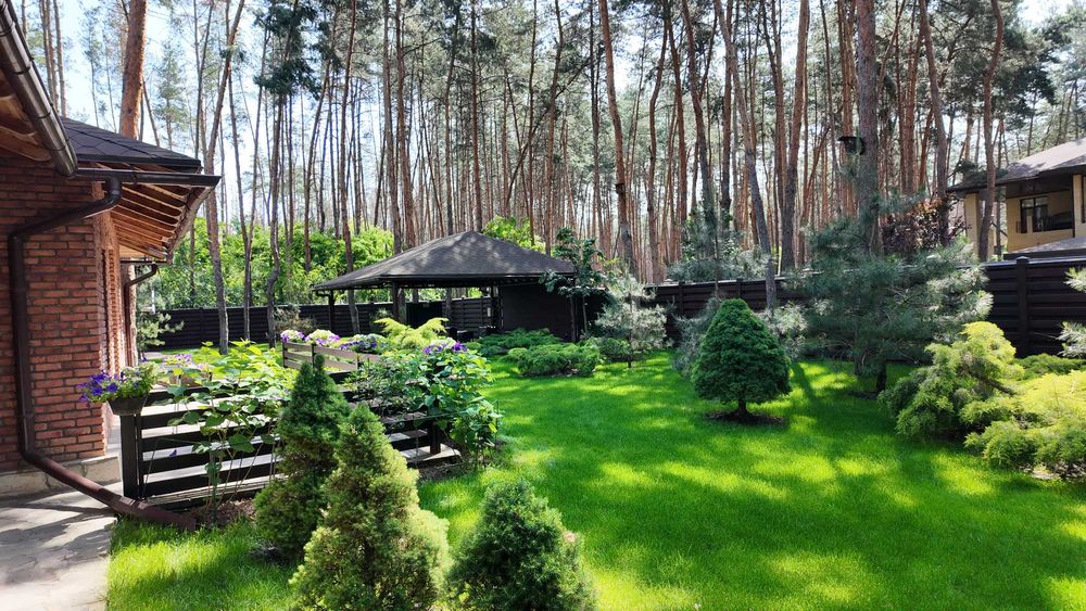 Продаж будинку в лісі, Піщанка, Ліс,Річка,