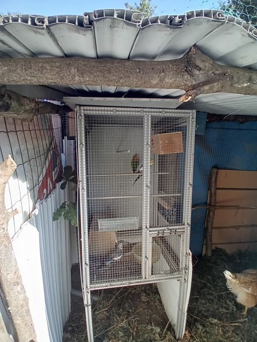 Vendo ou troco por outros animais