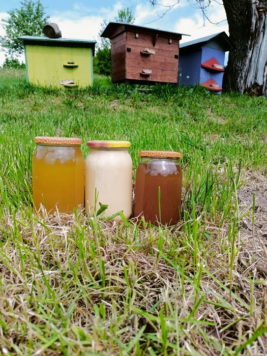 Miód z własnej pasieki