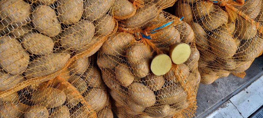 Ziemniaki Queen Anna, Soraya