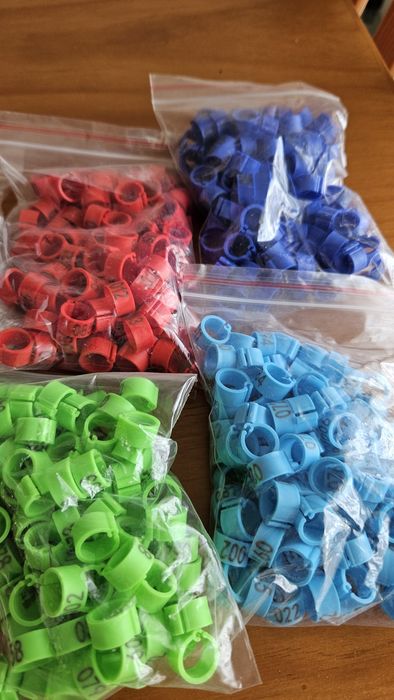 Pack 100 anilhas plásticas numeradas para pombos 8mm