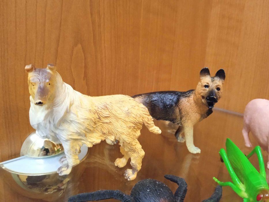 Фигурки животных(домашние животные): собаки, поросята,лягушка,паук,куз