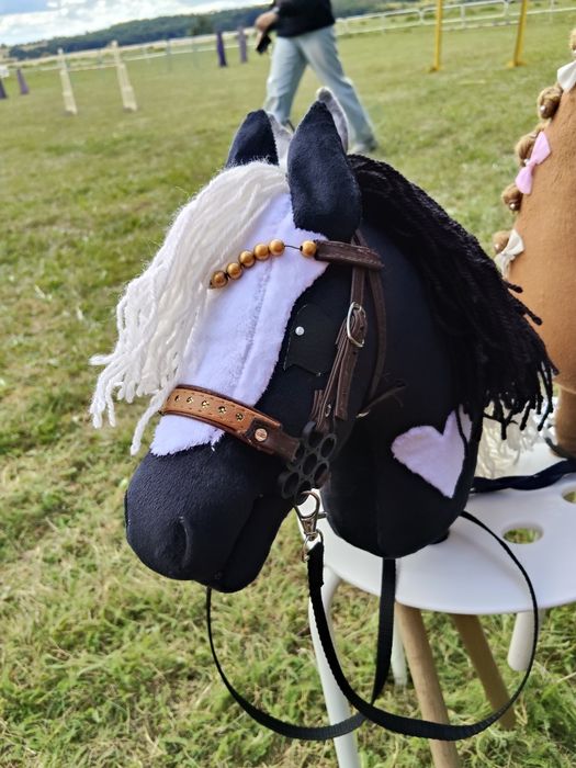 Łaciaty Hobby Horse A4