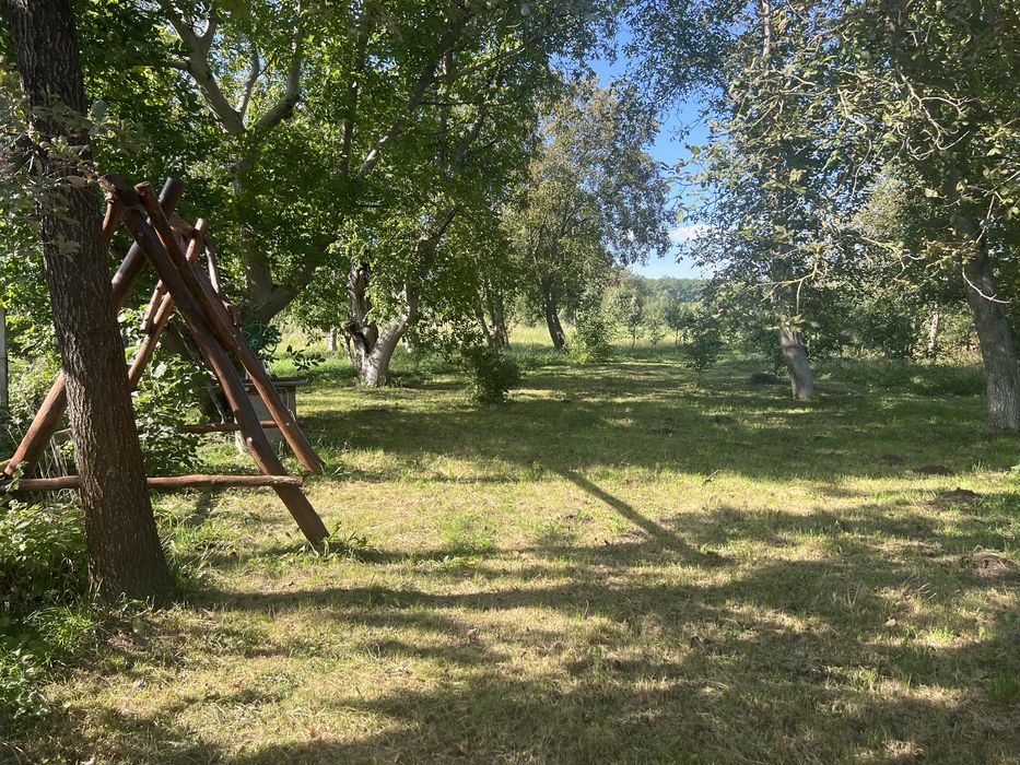 Продам будинок із сучасним ремонтом та меблями