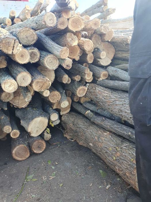 Продам дрова акації та груші