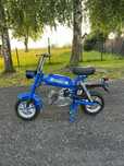 Motorynka pony 301