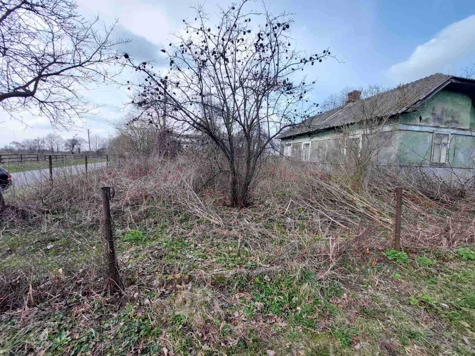 Продається будинок в с.Новий Мартинів