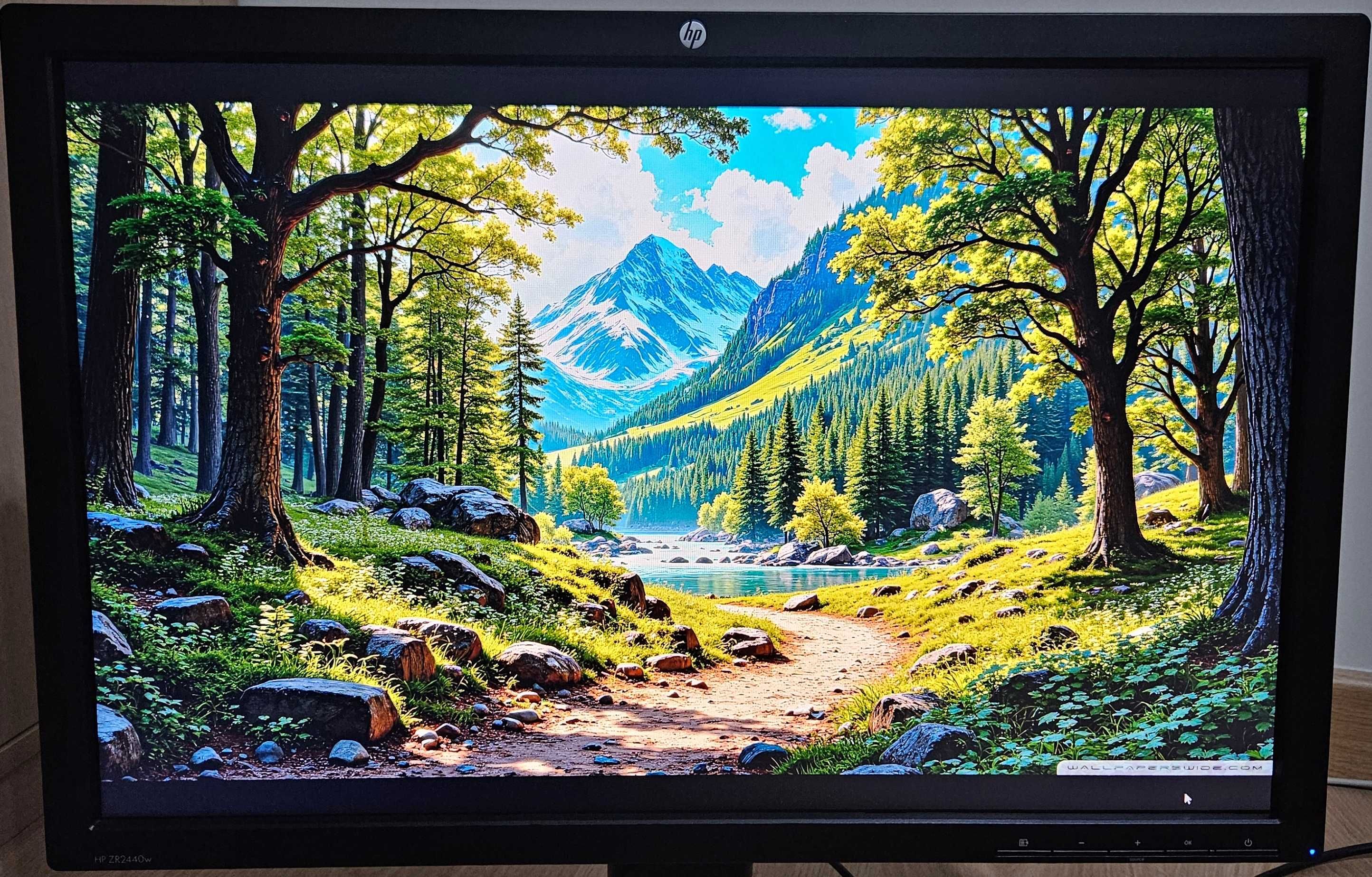 2x Monitor HP ZR2440W 24" IPS 1920x1200 | Pivot | HDMI | USB HUB