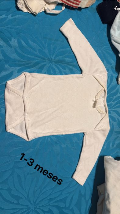 Vários bodies de bebé