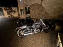 Harley v rod muscle