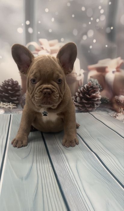 Самі кращі малюки два щепленя