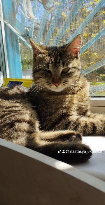 !Терміново! Пропав друг $ВИНАГОРОДА$