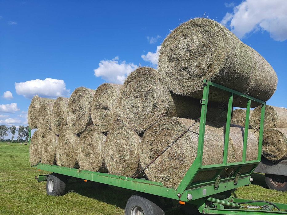 Słoma Tegoroczna, Siano, Sianokiszonka 120X130