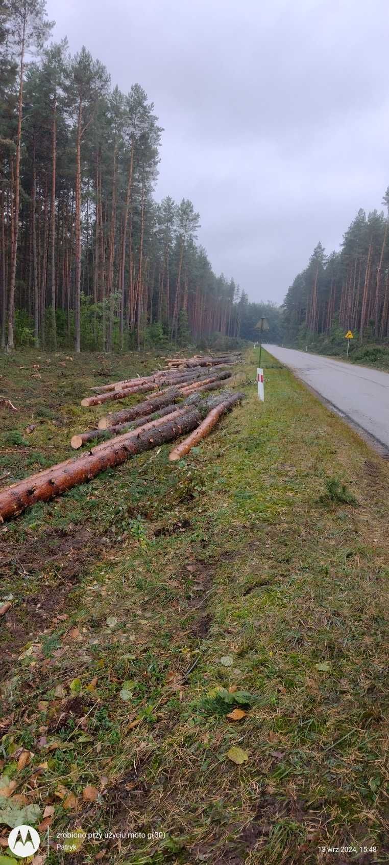 Ścinka drzew Mulczowanie Czyszczenie działek